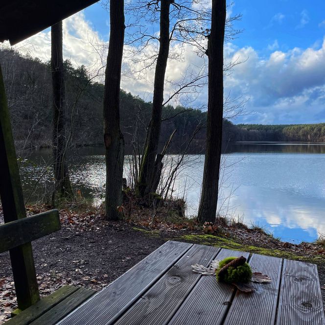 Langesee Rastplatz mit Blick auf das Wasser 