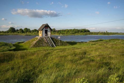Ein Pegelhaeuschen steht vor der Fluss Oder in der grünen Landschaft.