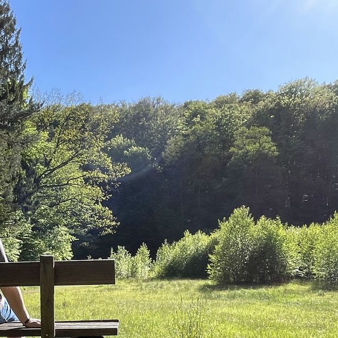 Rastbank auf einer Wiese im Schlaubetal, Wanderer pausiert und genießt die Aussicht
