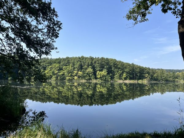 Blick auf den Weißer See bei Buckow