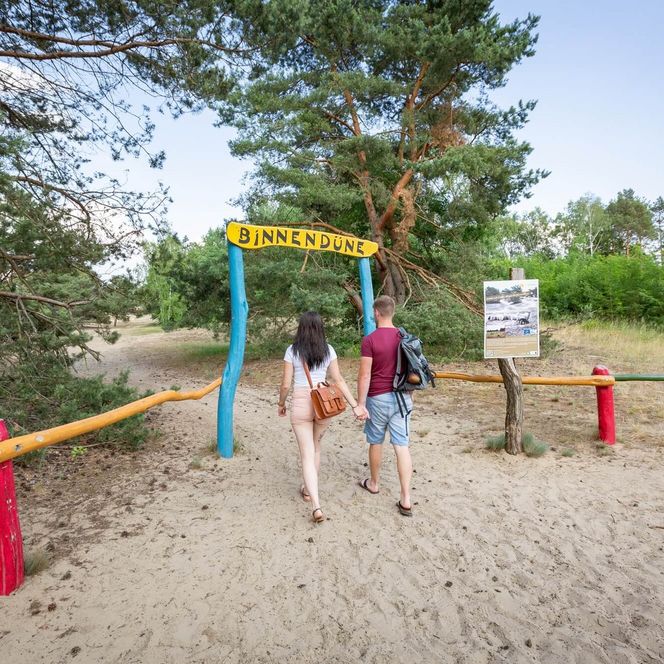 Eingang zur Binnendüne Waltersberge in Storkow Sommer