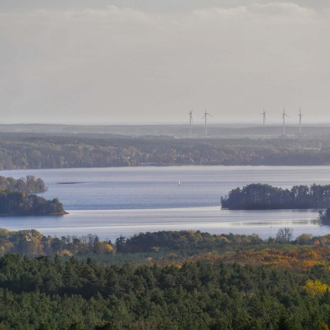 Ausblick vom Aussichtturm in den Rauener Bergen