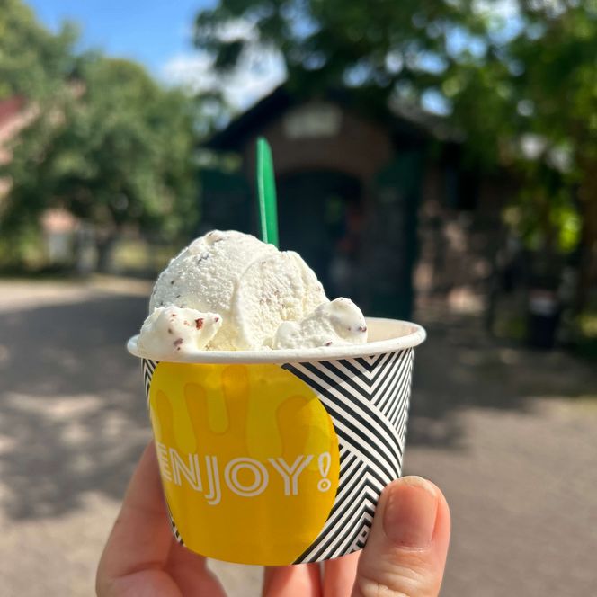 Eis von Wally und Paul in Pieskow Hand mit Eisbecher im Sommer