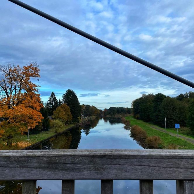 Blick von der Fahrradbrücke in Kaisermühl im Sommer