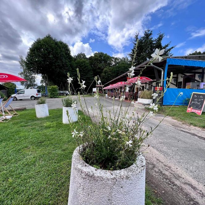 Heimathafen bei Uwe Beachbar im Sommer