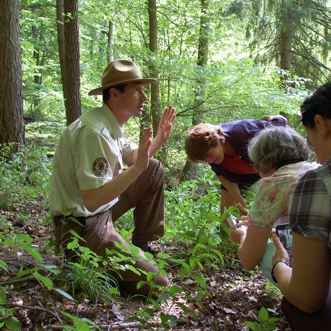 Ranger mit Wandergruppe Schlaubetal