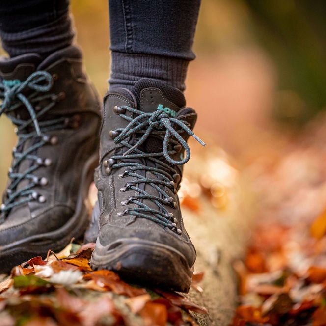 Wanderschuhe auf Baumstamm Herbst