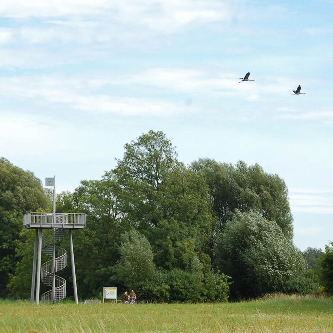Salzturm in Storkow an der Salzwiese im Sommer mit Wiese