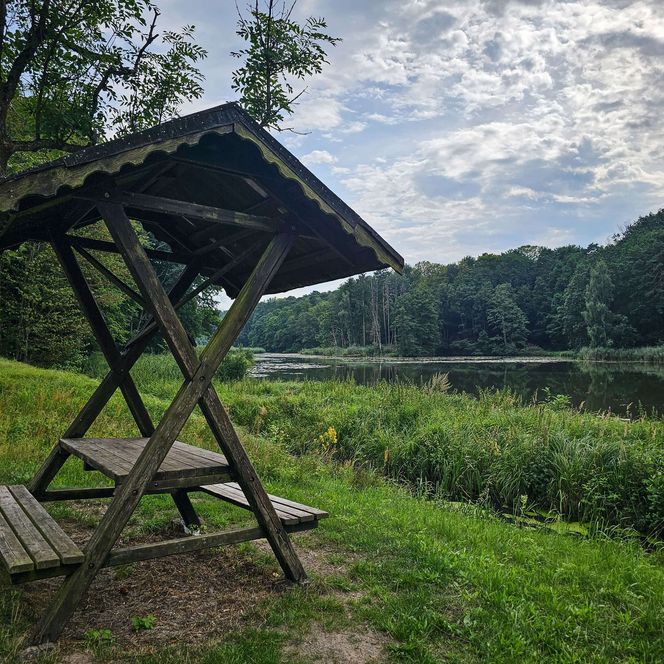  Kieselwitzer Teiche Sommer Sitzraufe