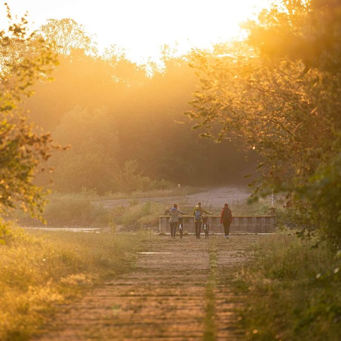 Radfahrer fahren bei Aurith bei Sonnenaufgang