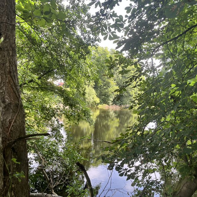 Blick auf der Herrensee