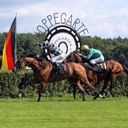 Pferderennen auf der Rennbahn in Hoppegarten