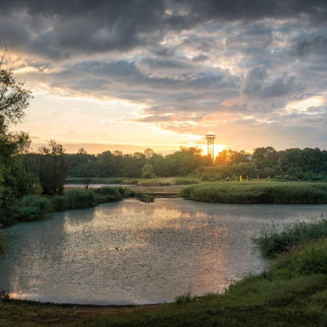 Sonnenuntergang an der Oder in Aurith mit Blick auf den Aussichtsturm Urad