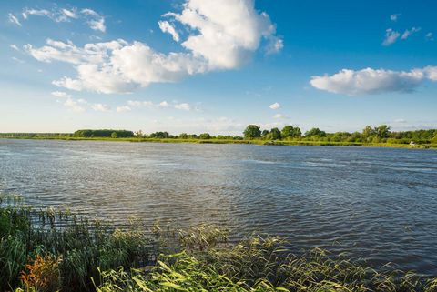 Fluss Oder in Ratzdorf in Oder-Spree