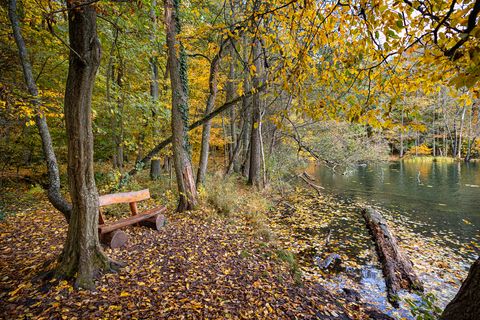 Mörkische Schweiz Tornowsee