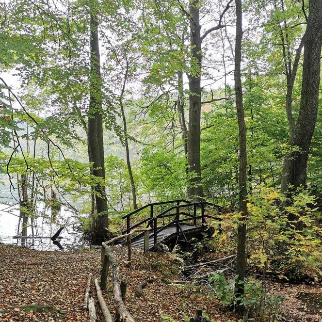 Rundwanderweg um den Wirchensee im Schlaubetal im Herbst