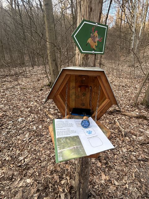 Abenteuer mit Stobbi