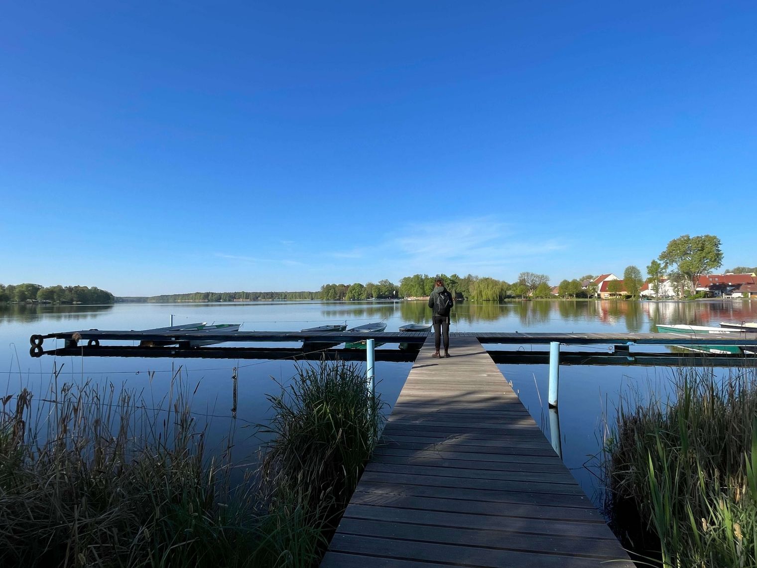 Müllroser See Steg Sommer