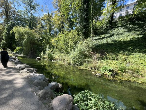 Bach im Lennépark Frankfurt (Oder)