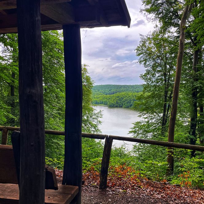 Aussichtspunkt: Ausblick durch Bäume auf einen See