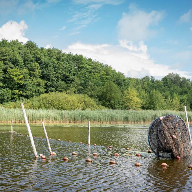 Fischerei auf dem Naturgut Köllnitz auf dem Boot