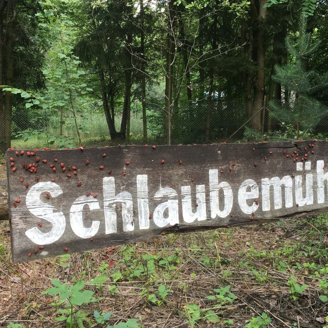 hölzernes Schild "Schlaubemühle"