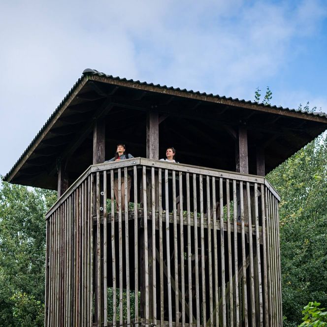 Aussichtsturm Naturpark Dahme-Heideseen