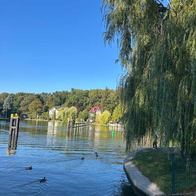 an der Woltersdorfer Schleuse 