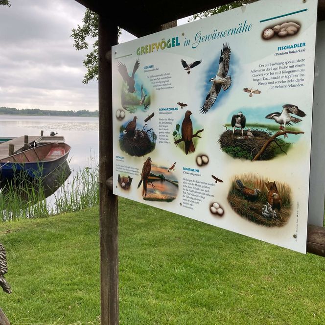 Birdwatching auf dem Naturgut Köllnitz Schild am Wasser mit Boot