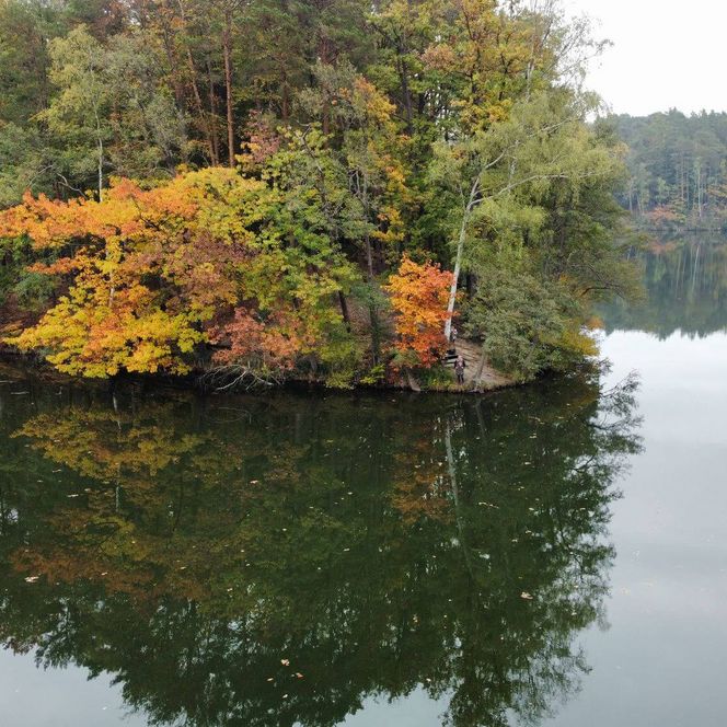 Rundwanderweg Wirchensee im Herbst